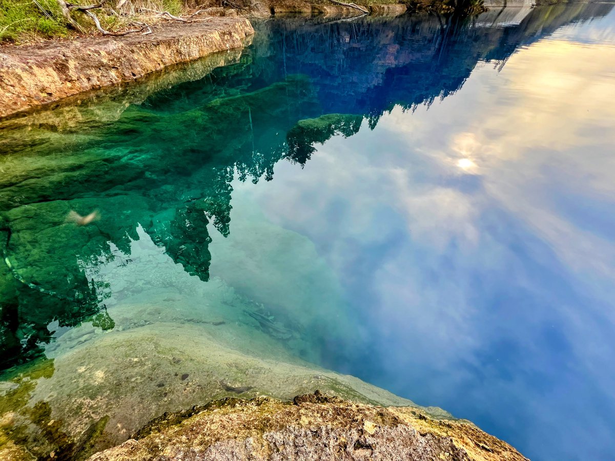 けみこ tweet media