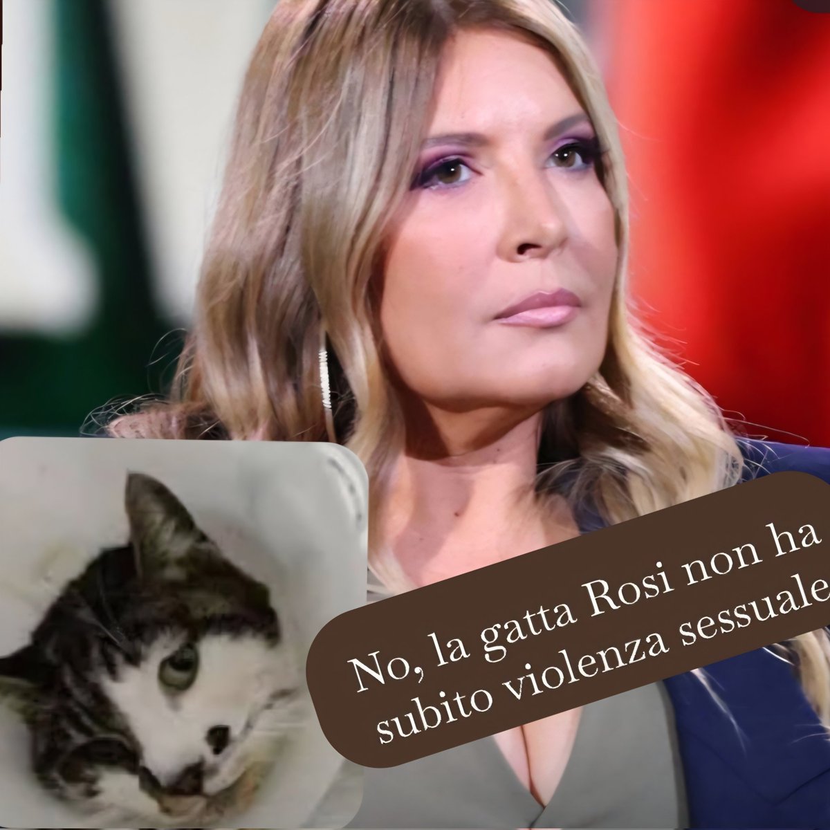 Donatella Chiodi #spuntablu tweet media