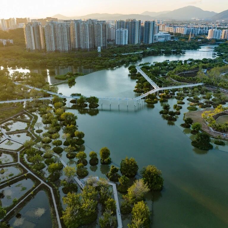 CBD Life | Let’s go! Embark on a Color Walk—exclusive for Sanya CBD.
Give yourself one simple color mission.
And let the hues lead the way:
Blue, green, red, orange…
Every color has its own unique answer in Sanya CBD.