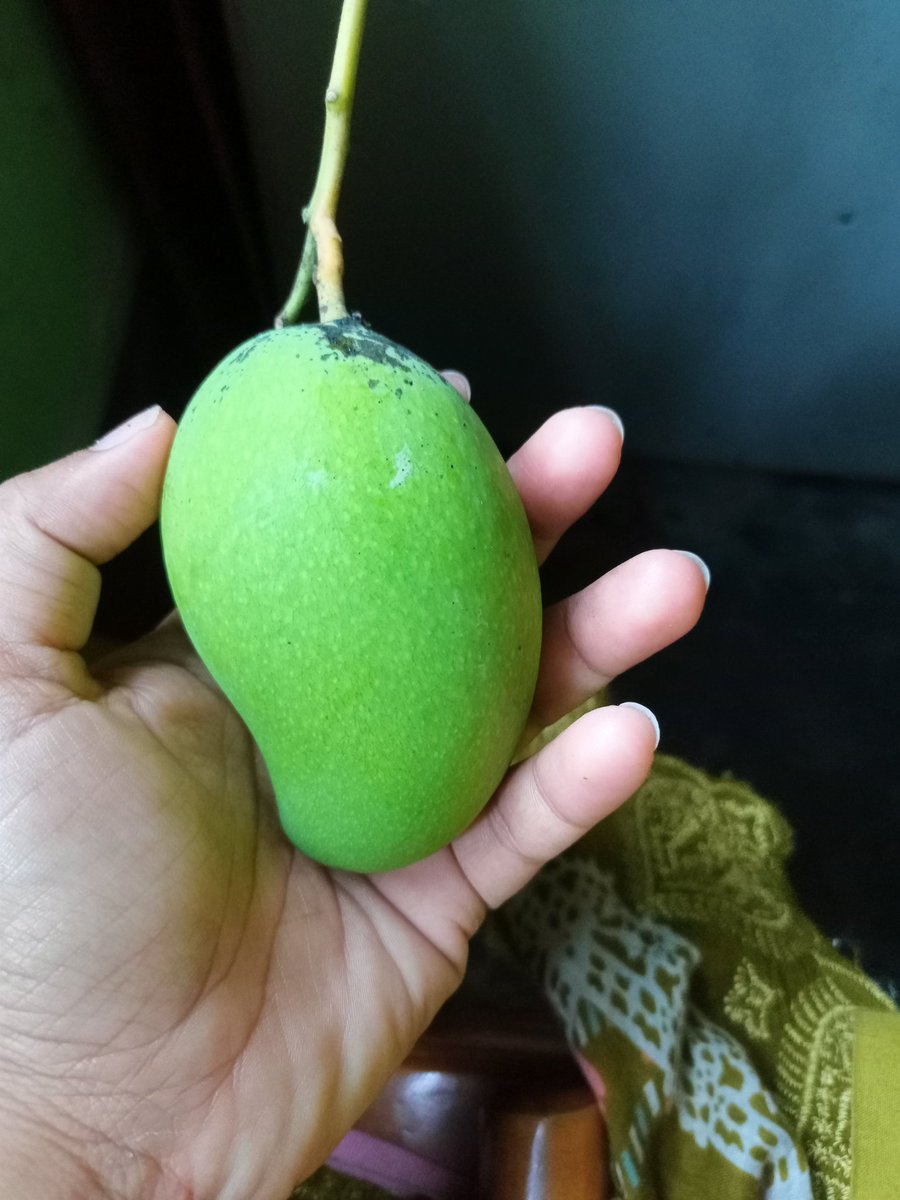 🌻🔫( গুন্ডী মেয়ে )🔫🌻 tweet media