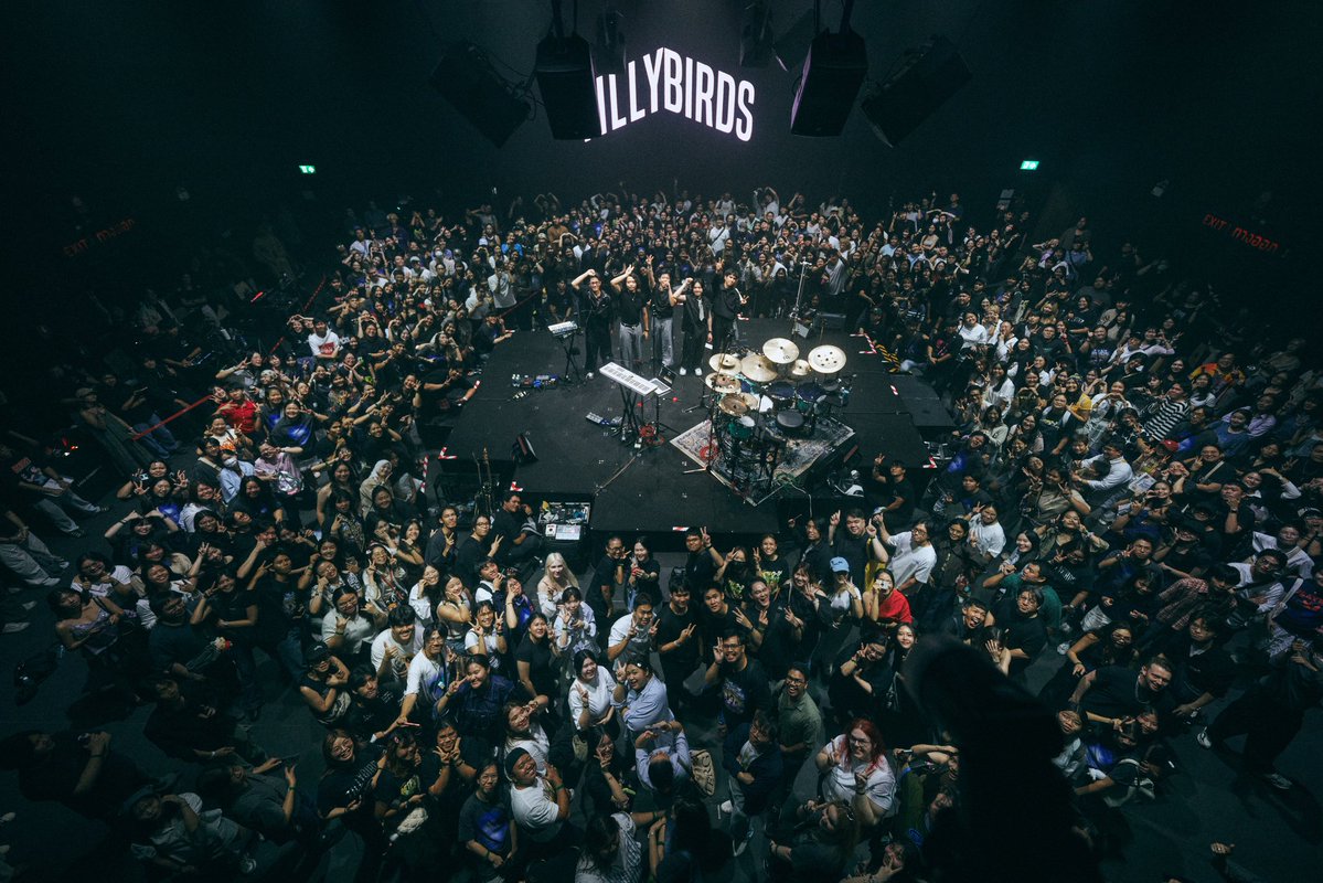 TillyBirds tweet media