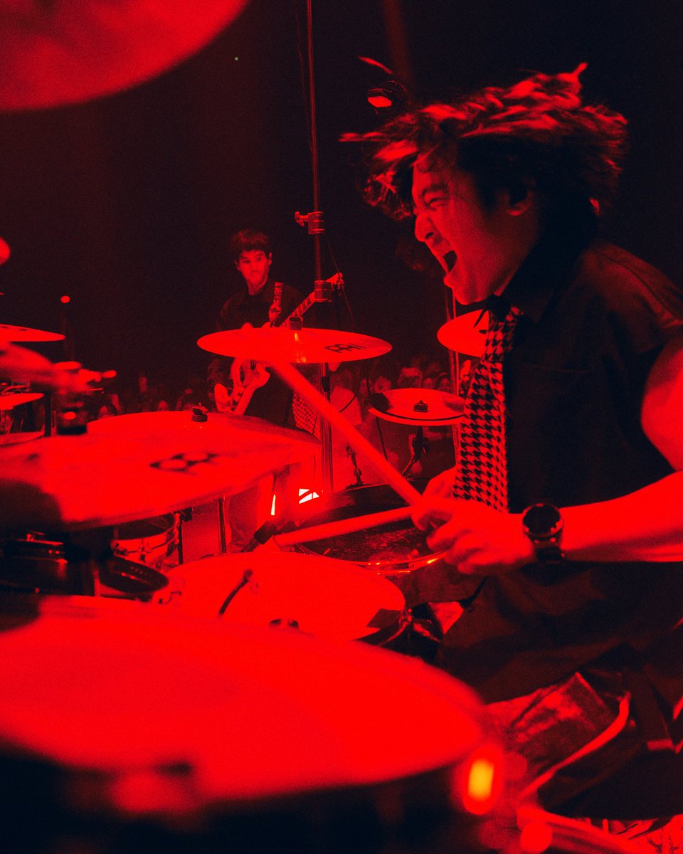 TillyBirds tweet media