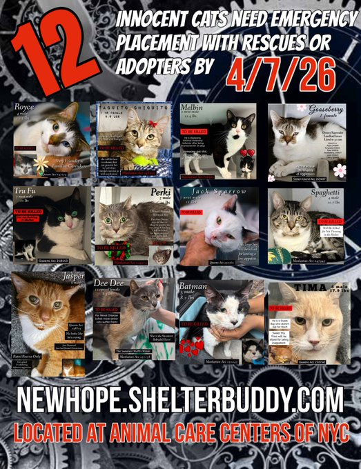 Jack5928 tweet media