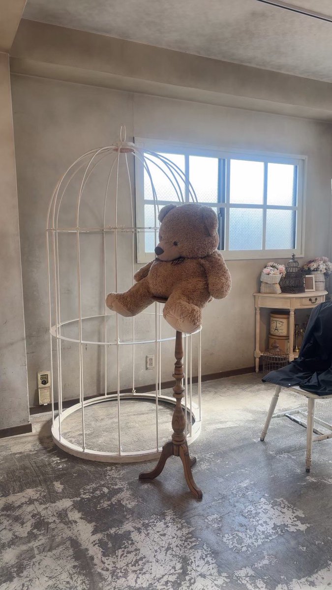 花染 あめり tweet media