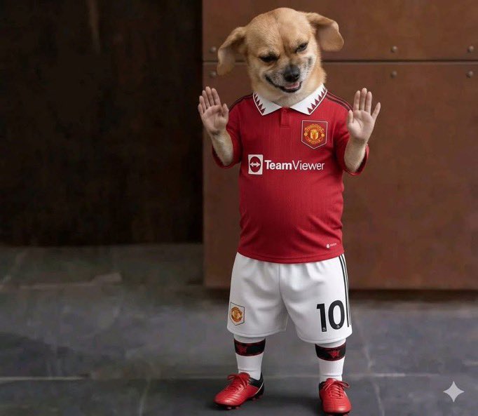 Bankz of Play ▶️ tweet media