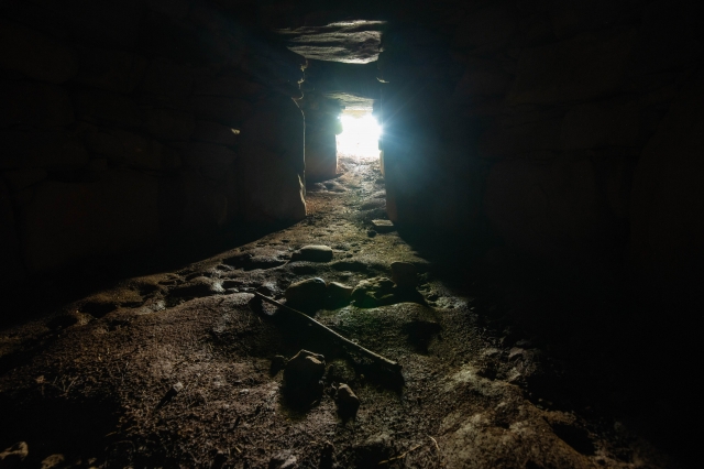 Aya Nishitani 西谷史 tweet media