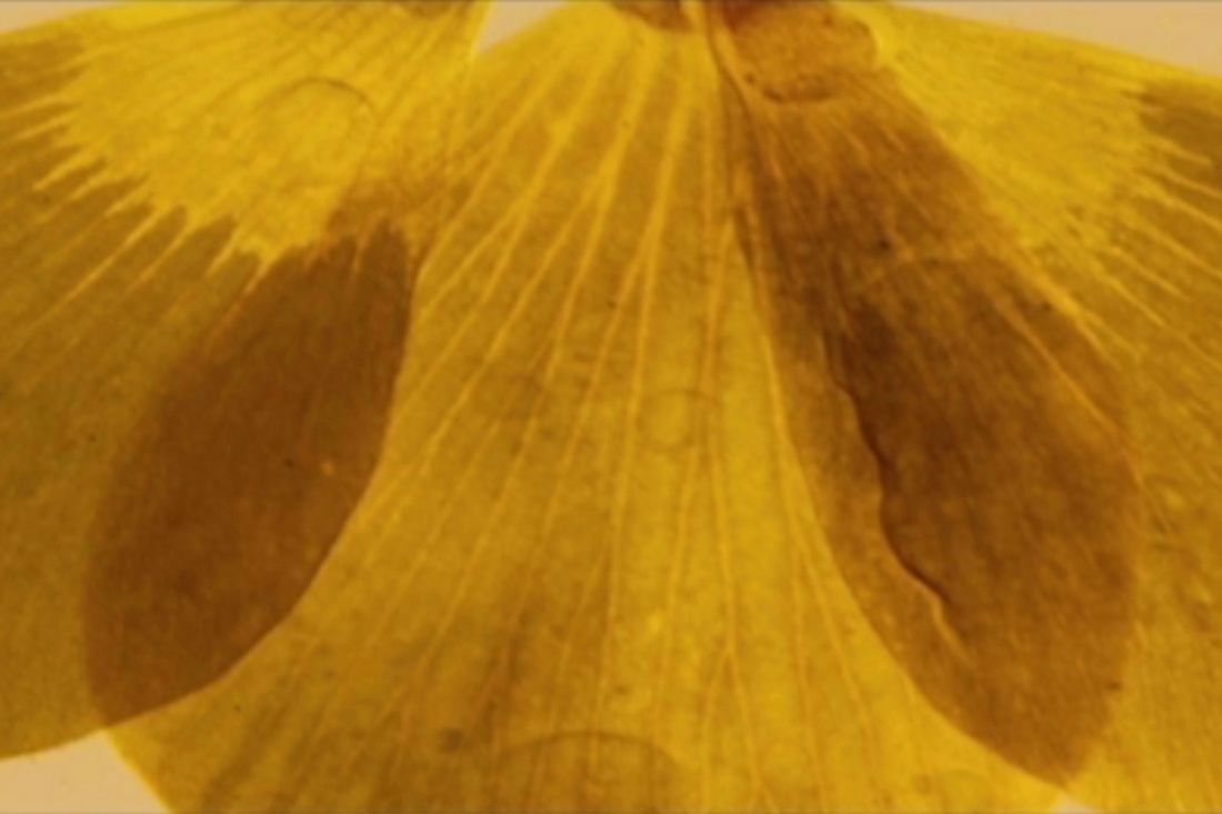 Close-Up Cinema tweet media