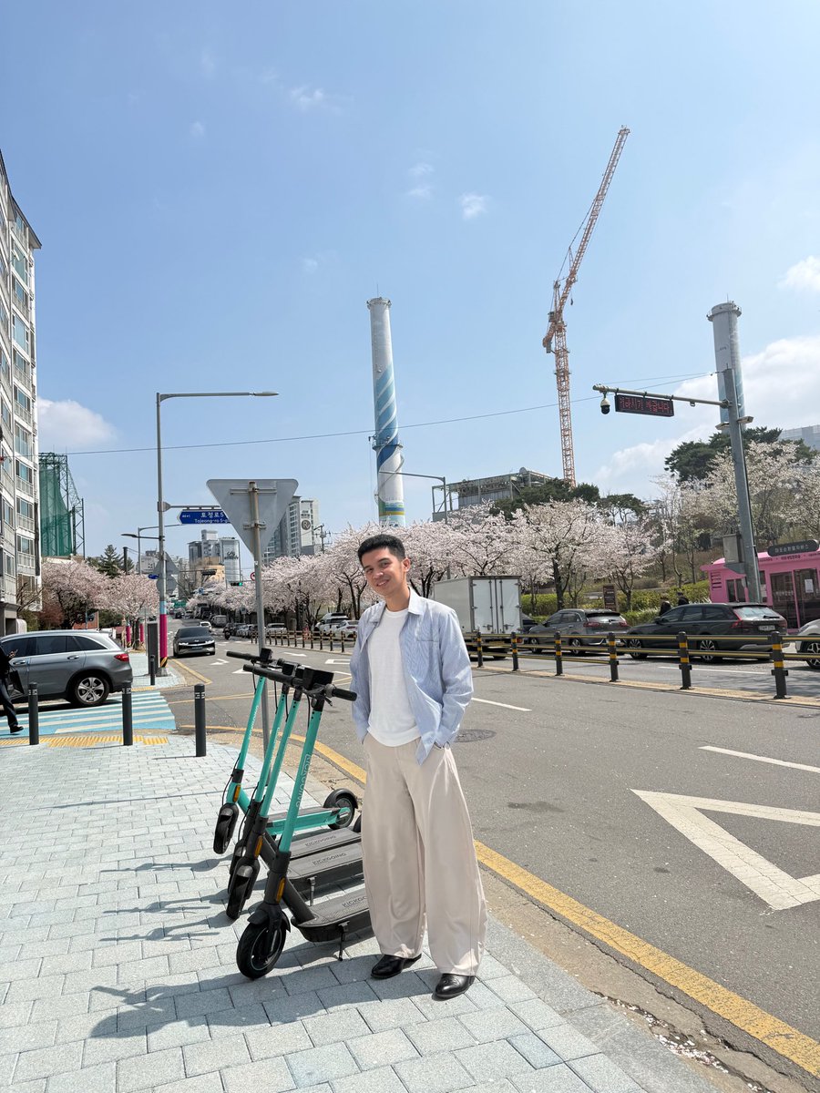simongadz's tweet photo. Blooming Peace 🌸 https://t.co/v2BGTLl7sD
