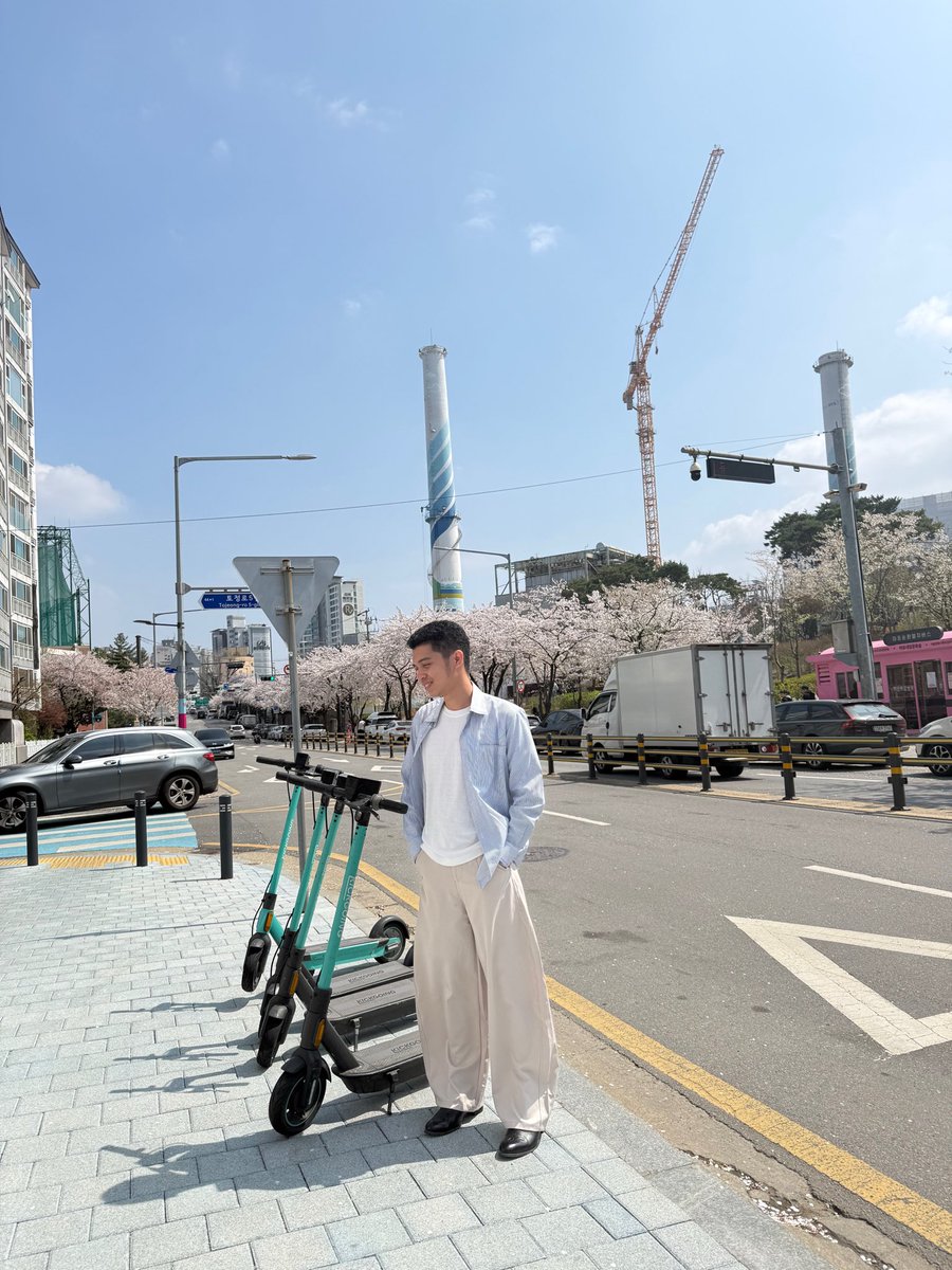 simongadz's tweet photo. Blooming Peace 🌸 https://t.co/v2BGTLl7sD