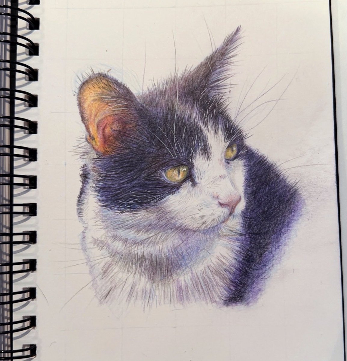 geeksarecool tweet media