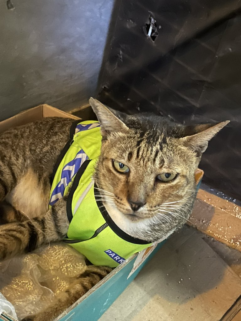 JEMBUY | comms (3/3) tweet media