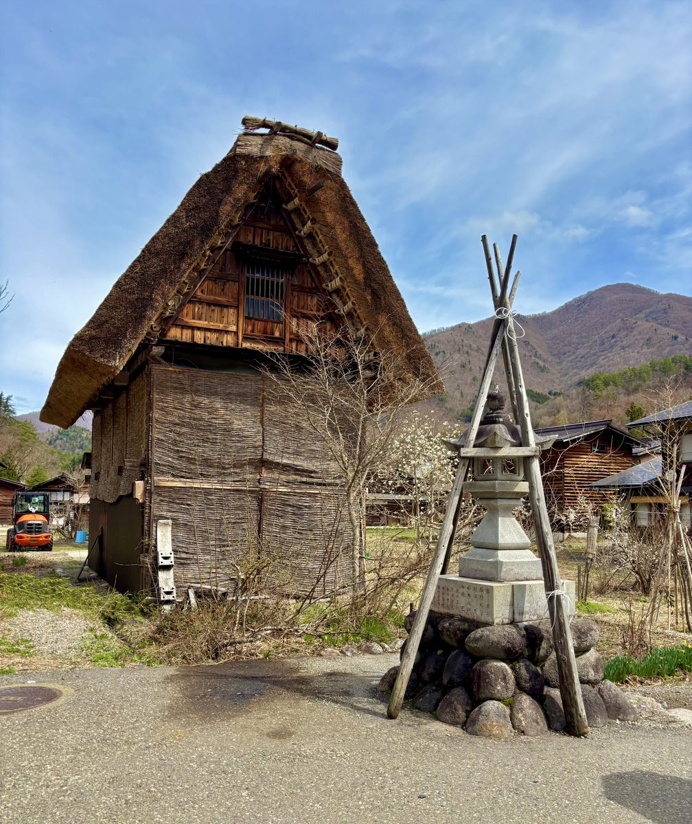 根暗マンサーぴーたん tweet media