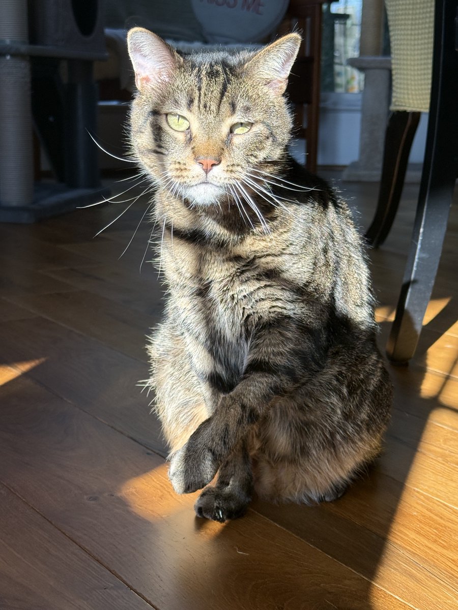 For the love of Missy. tweet media