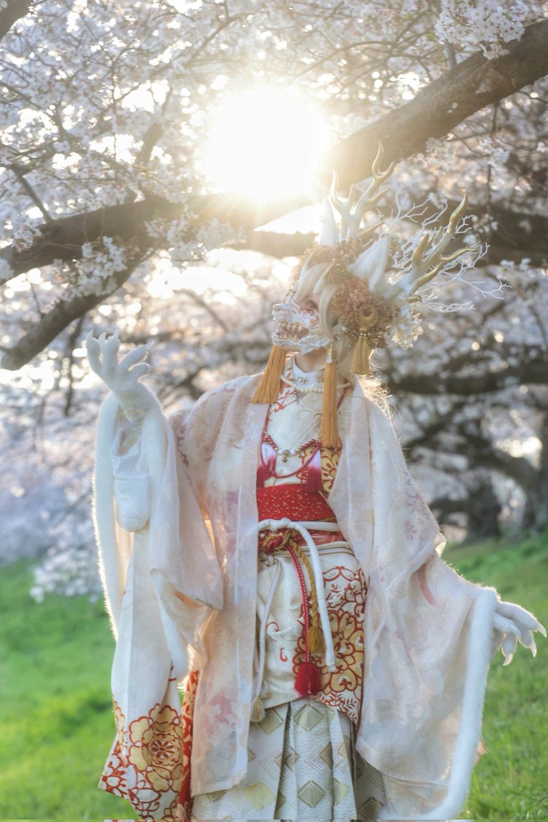 夕暮れの桜は格別じゃ♪🌸🦊

鬼狐面頬： #お面のかしま屋 <a href="/telutelu_satoko/">さとこ@お面のかしま屋</a>
photo：Hyde <a href="/Hyde00085224/">Hyde∣4/12清和源氏まつり</a>
character：狐の山神 
#梅吉photo #角処夏梅