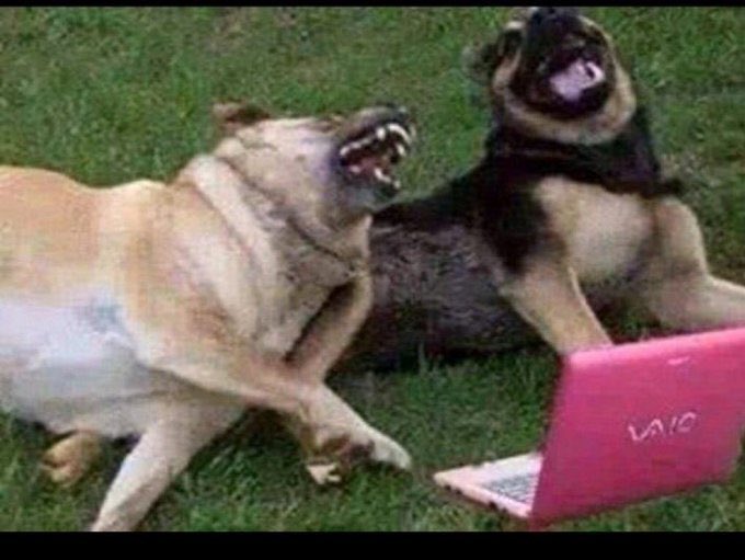 zack-astic🇰🇪🇰🇪 tweet media