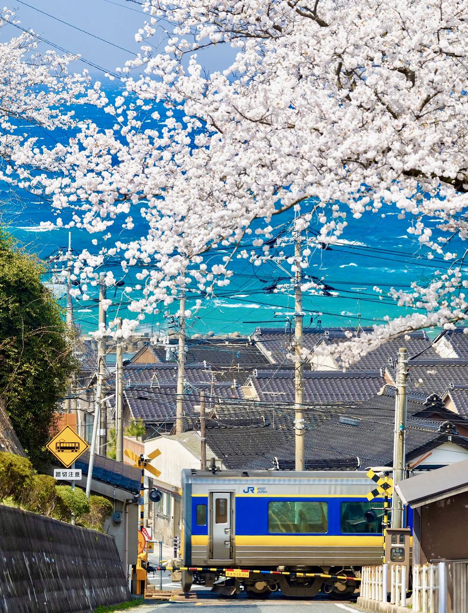 柄木孝志 TAKASHI KARAKI ／　Canonプリントセミナー全国ツアー 講師 tweet media