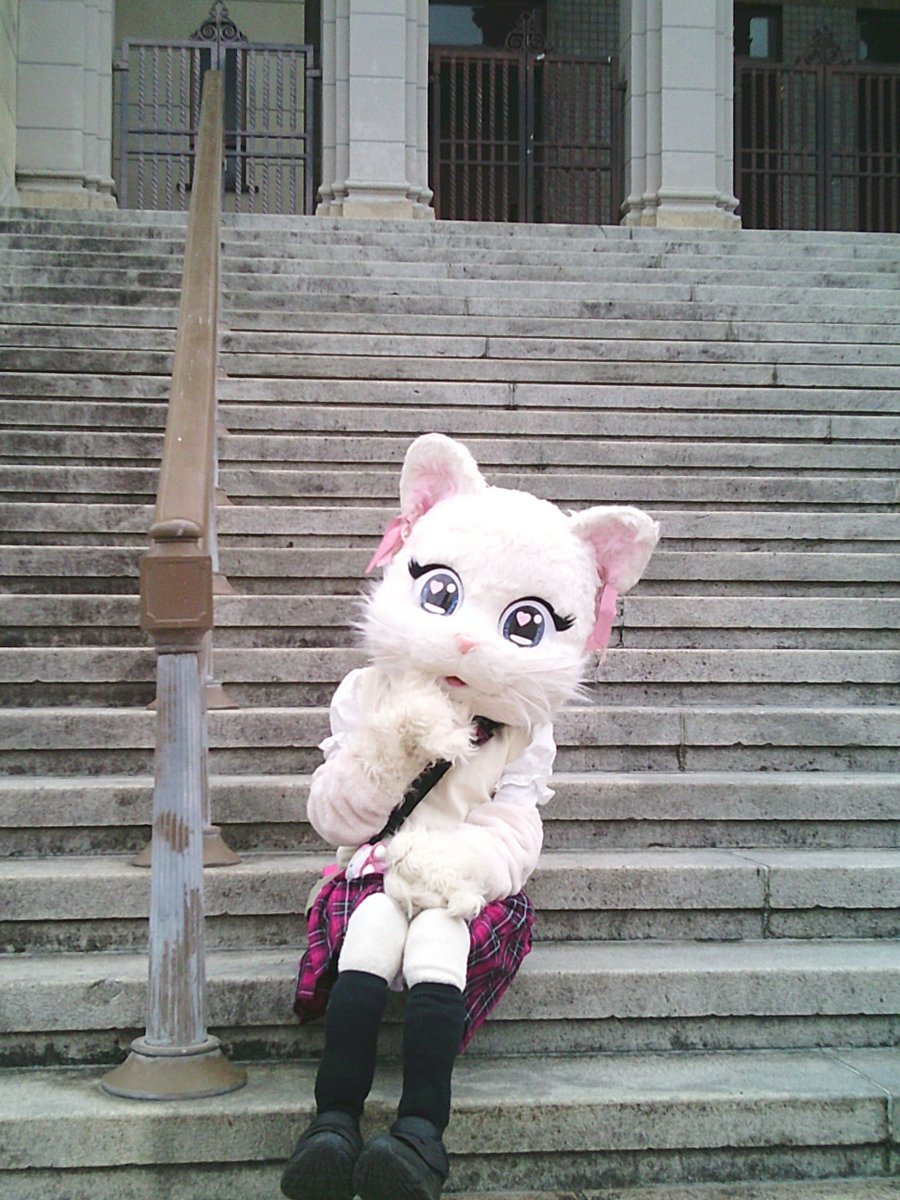 ミスティ日記♡ tweet media