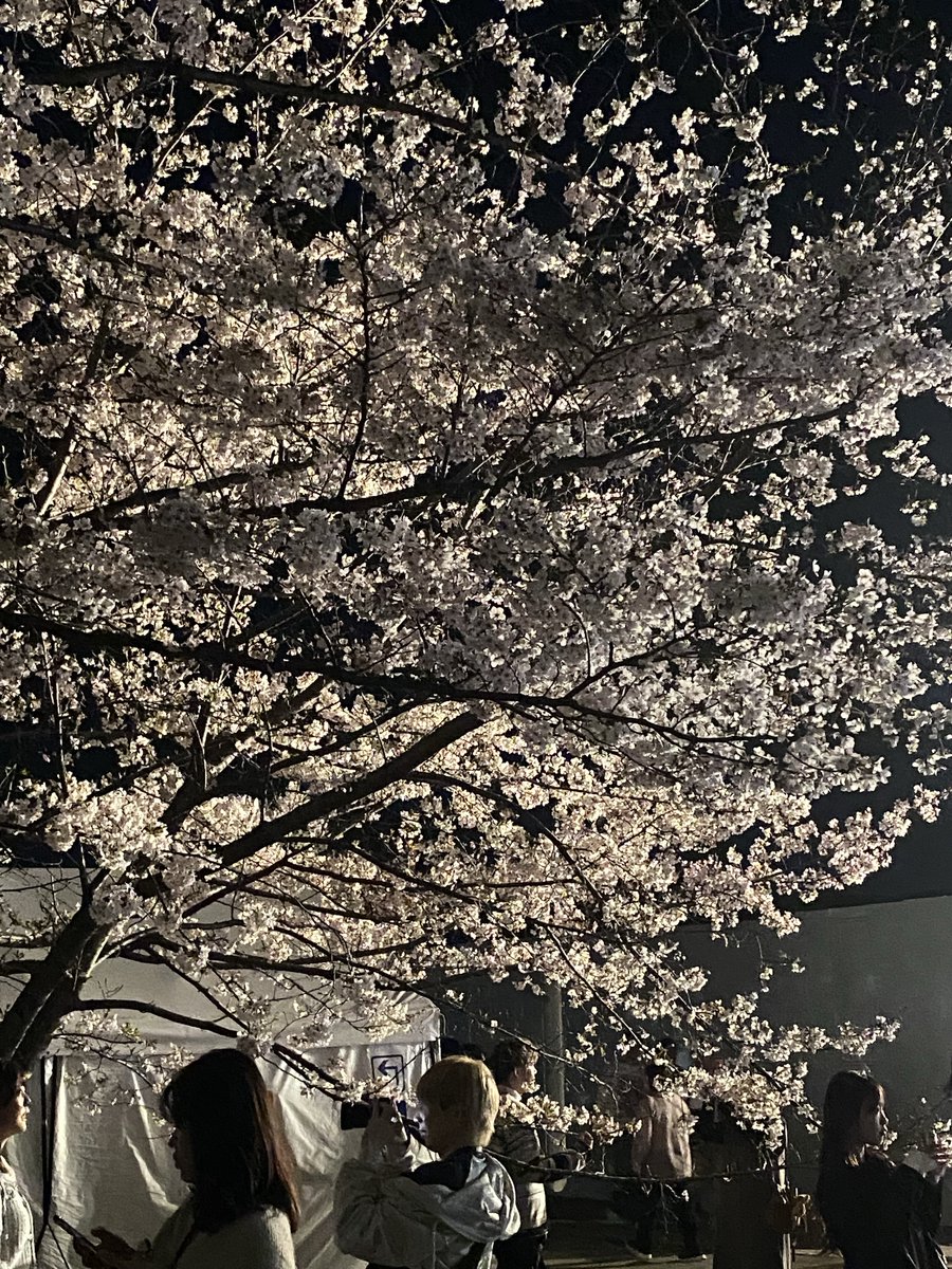 あやこ tweet media