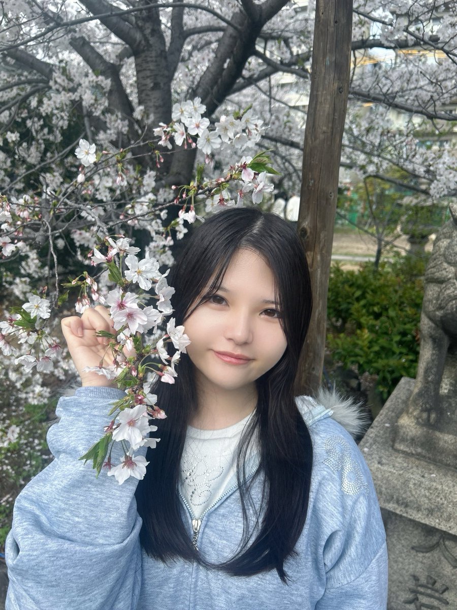 よここここ Kocchi no Kento - Hai Yorokonde / THE FIRST TAKE - YouTube