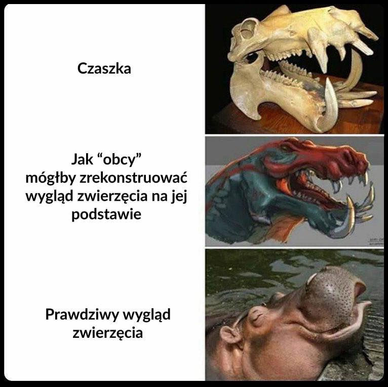 Subskrybent Prawdy ✝️🕊🧯 tweet media