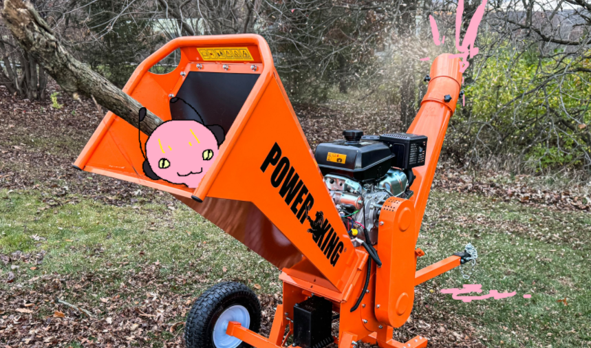 ants on your healing tweet media