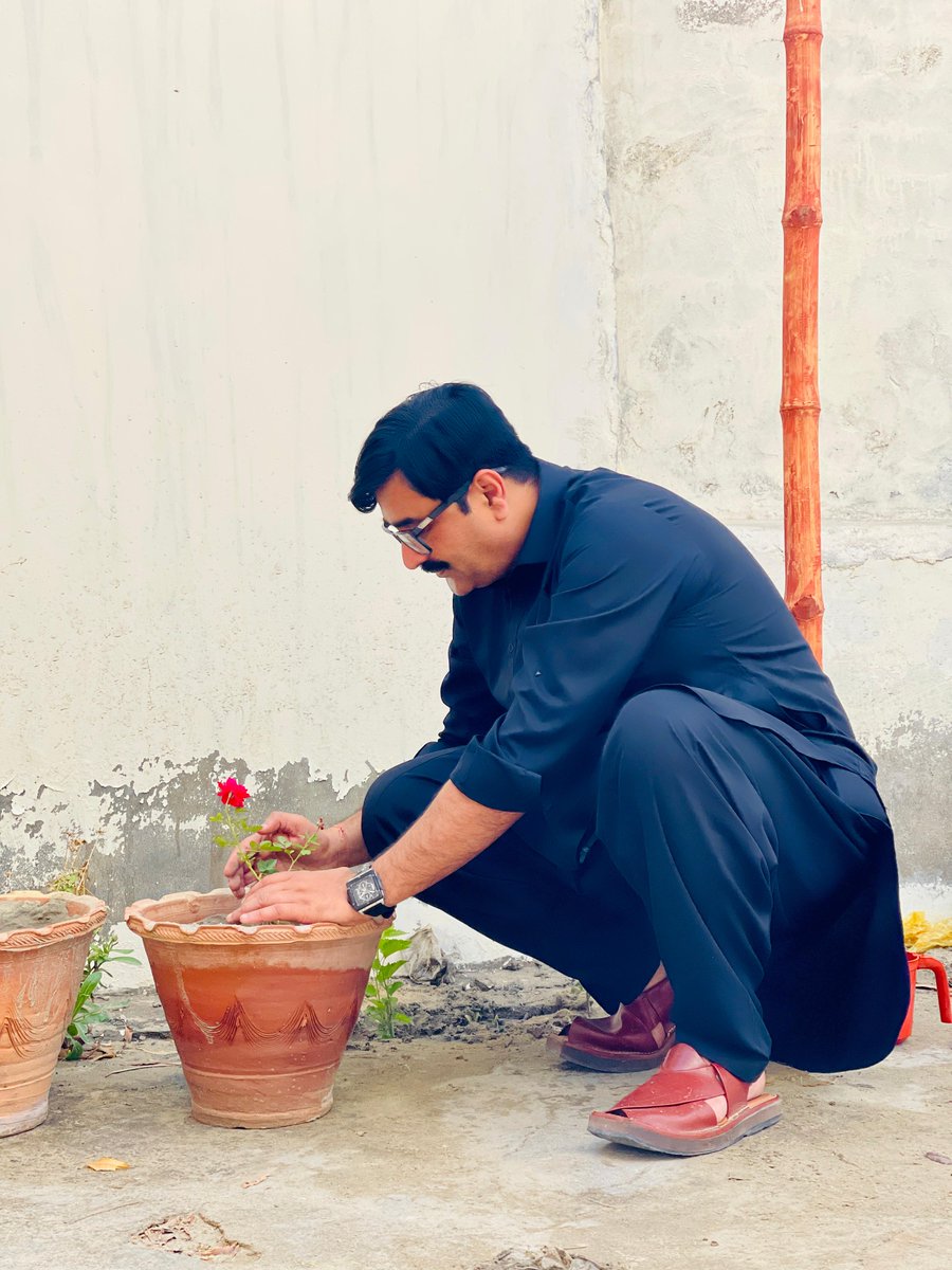 CSSPPakistan_'s tweet photo. Planting more than trees 🌿
Each sapling at our Umerkot office carries a name—building ownership and care for a greener future 💚
وڻ کي پاليو 🌱

#CSSP #ClimateAction #Umerkot https://t.co/B7c76qbdRp