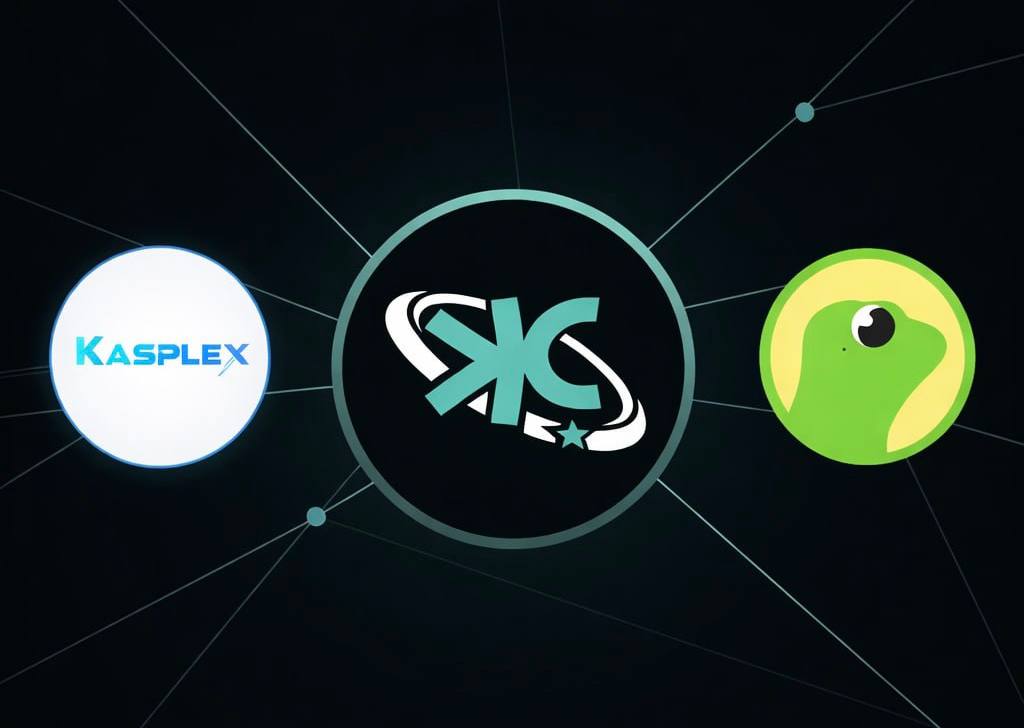 KaspaCom ⚡️ tweet media