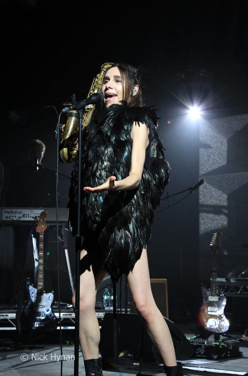NickHynan's tweet photo. Live #music #photography with @nickcave and @PJHarveyUK two incredible #artists I've been fortunate enough to photograph https://t.co/DLRQdbIc16 https://t.co/msV7XSPtQ2