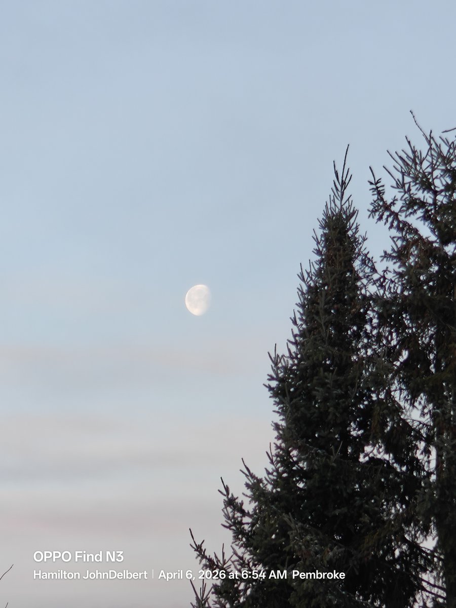 John D Hamilton tweet media