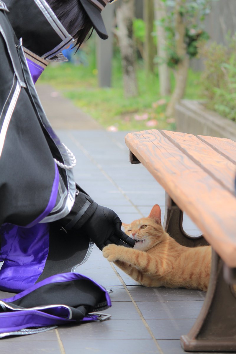 紫音🦁 tweet media