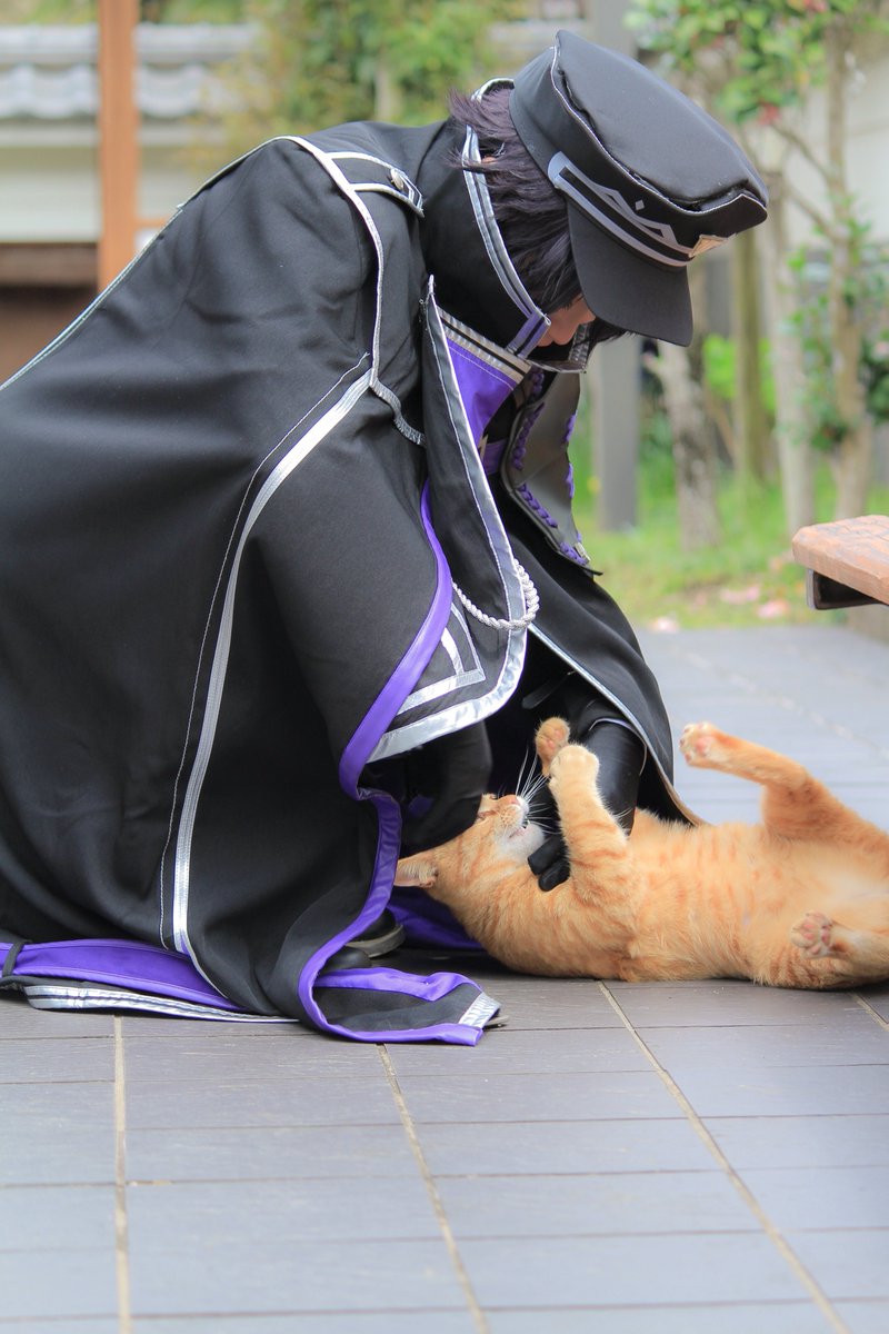 紫音🦁 tweet media