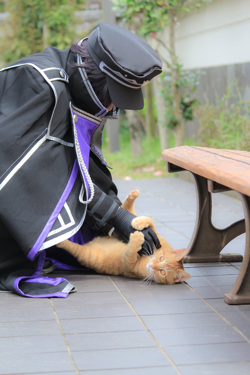 紫音🦁 tweet media