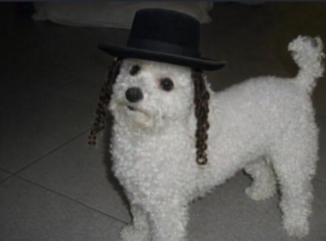 ๔รร tweet media