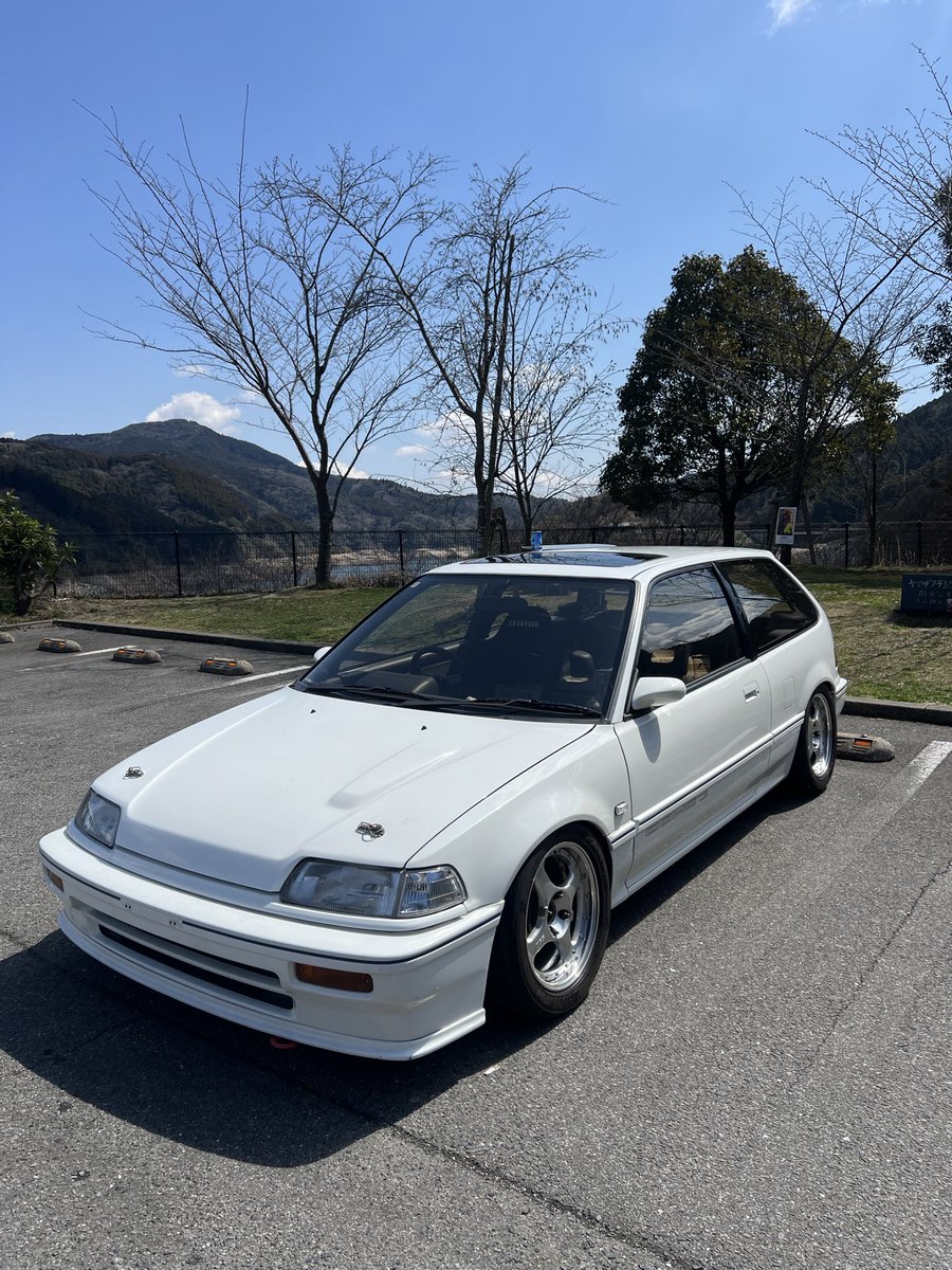 ひじき tweet media