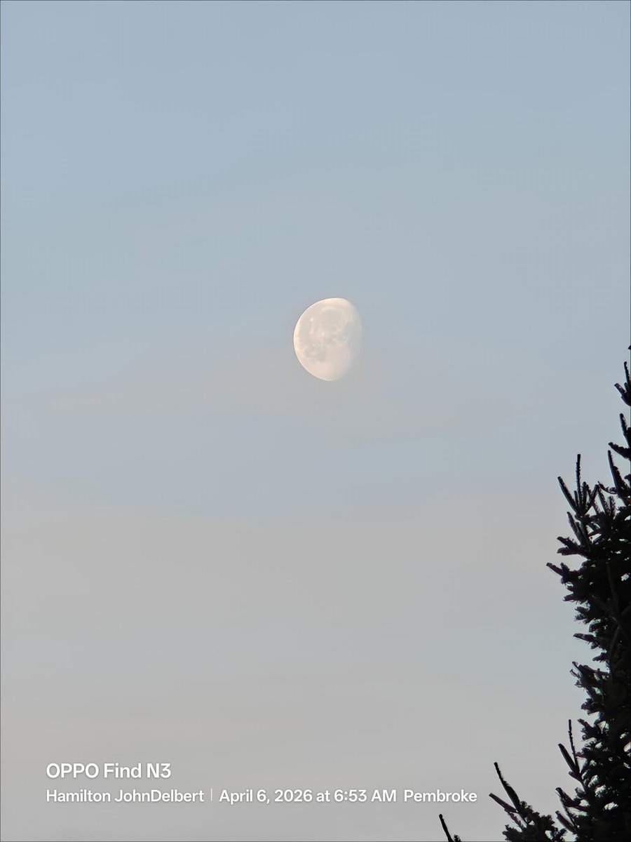 John D Hamilton tweet media