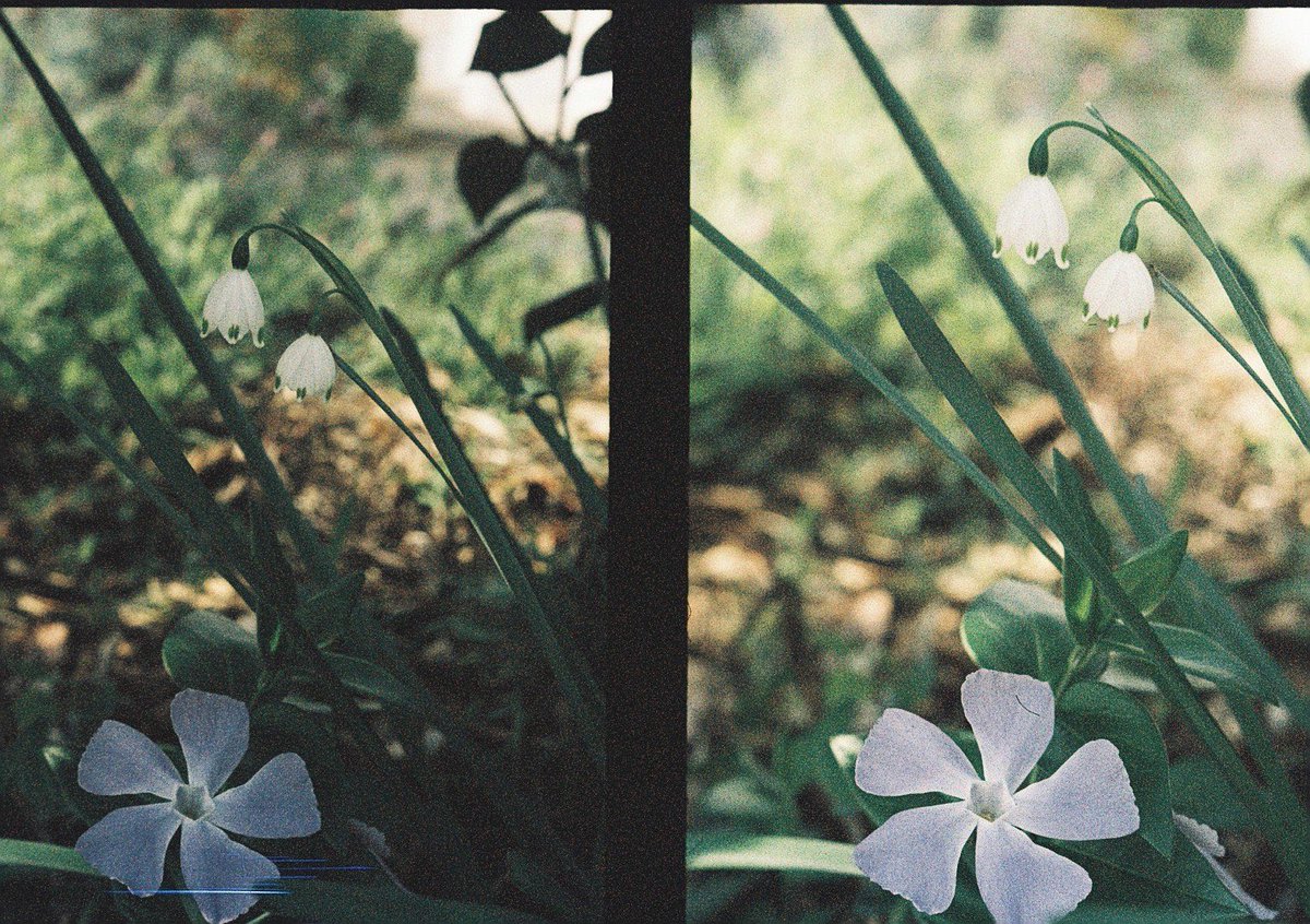 チカキマモリノツカサ tweet media