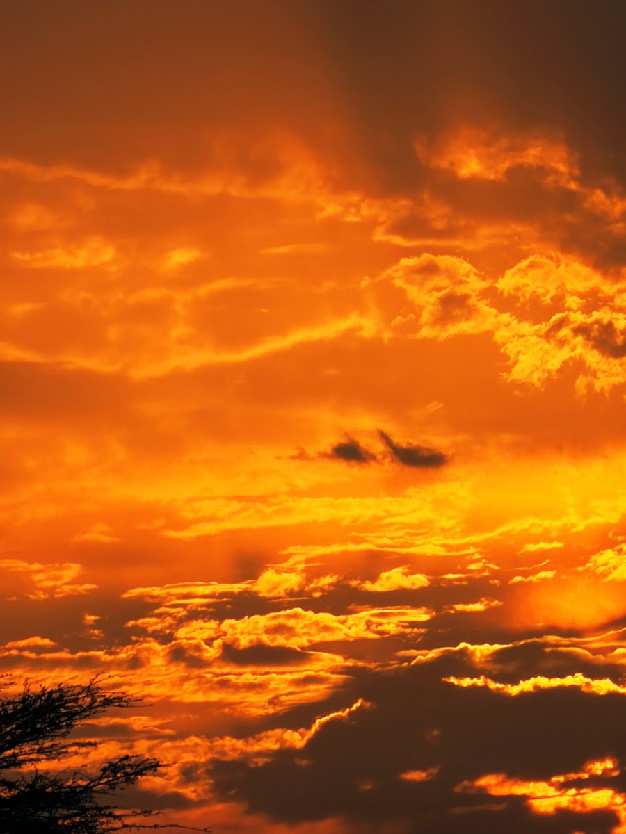 मरू री मरवण🏜️ tweet media