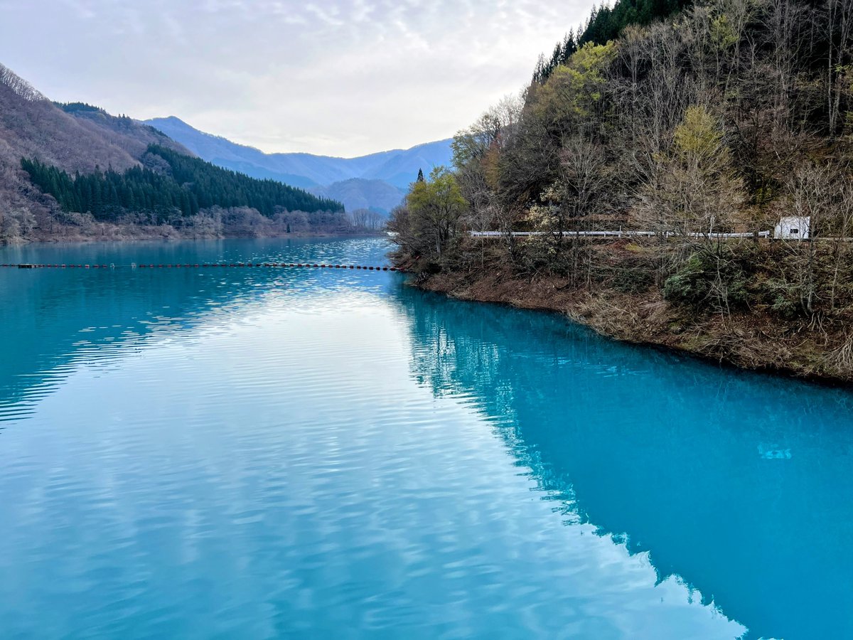 けみこ tweet media