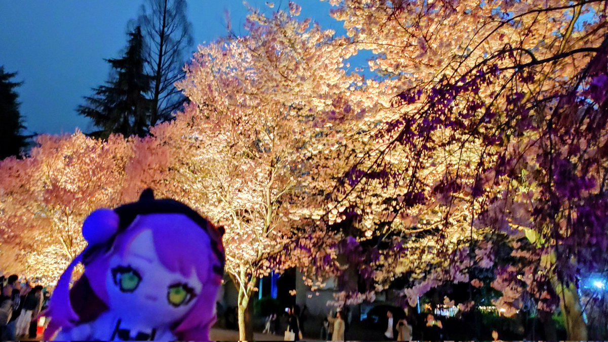 oshige👾 tweet media