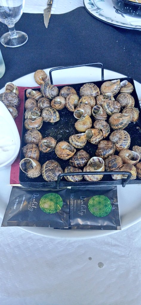 Massimiliano tweet media