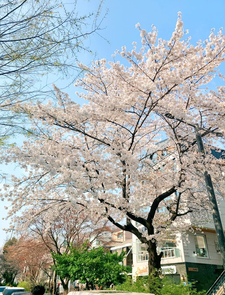 rau_queer's tweet photo. 하 이때 외출 진짜 좋았다...날씨가 미쳤던 https://t.co/aaNtNhsWiQ