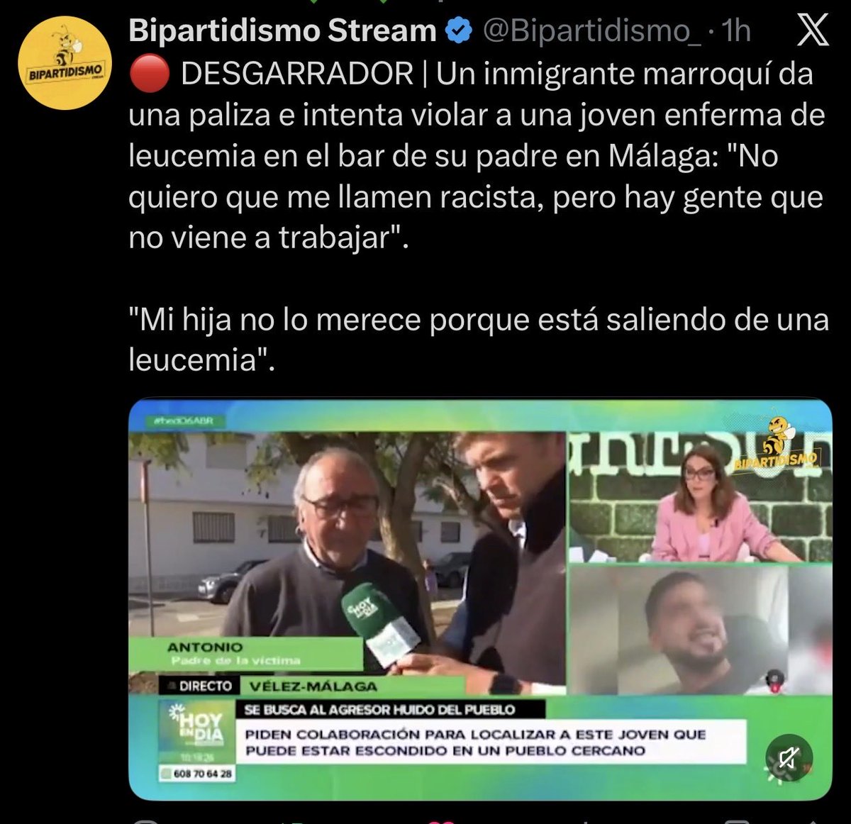 🇪🇸 Maza-pam 🇪🇸 tweet media