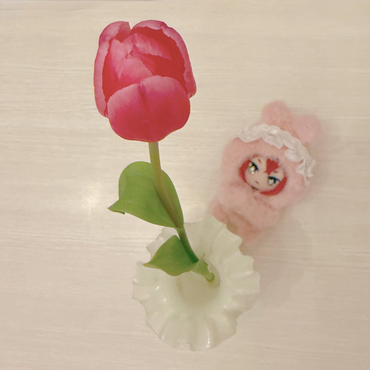 なかなか咲かない🌷そういう種類…？
