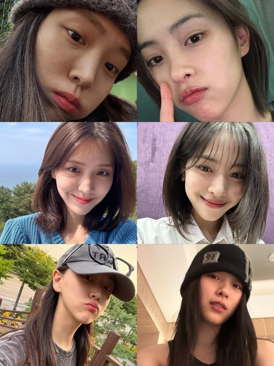 franzi 🪼 tweet media