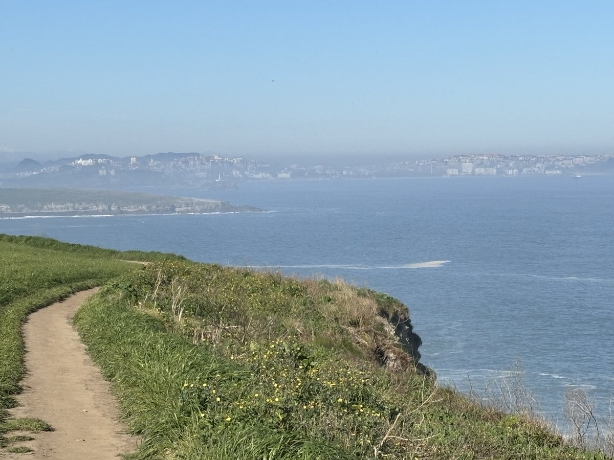 Elvington Church of England Primary School tweet media