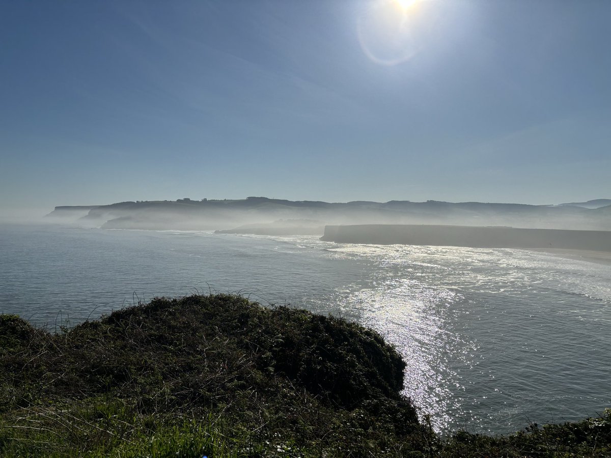 Elvington Church of England Primary School tweet media