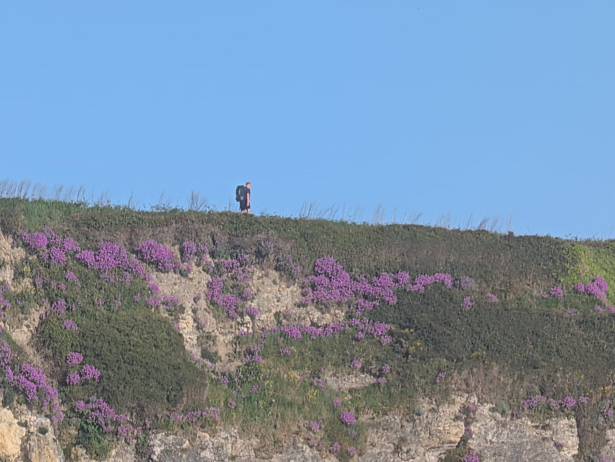 Elvington Church of England Primary School tweet media