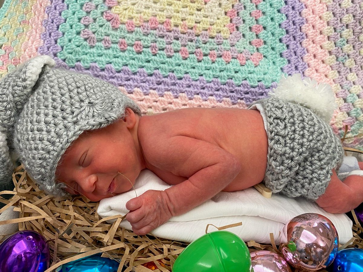 cchosp's tweet photo. Our tiniest patients are celebrating the season in the sweetest way, dressed as adorable little chicks and bunnies.

A heartfelt thank you to Dr. Lisa Drinker and our incredible NICU team for going above and beyond to make every moment in the NICU so meaningful for our families. https://t.co/NTfeZIABBy