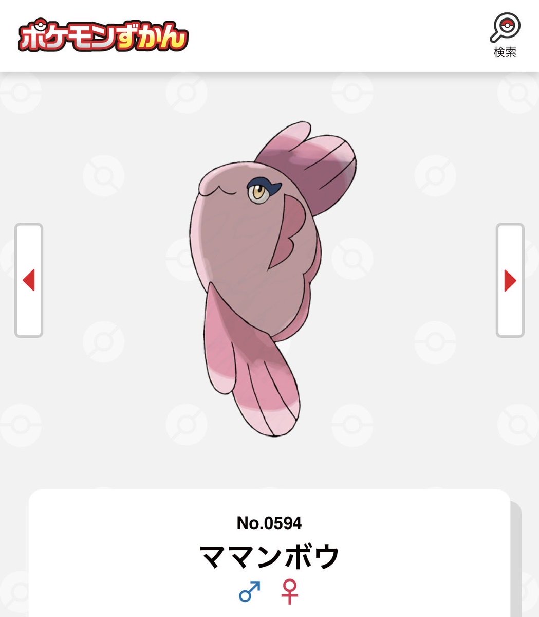 さざなみ tweet media