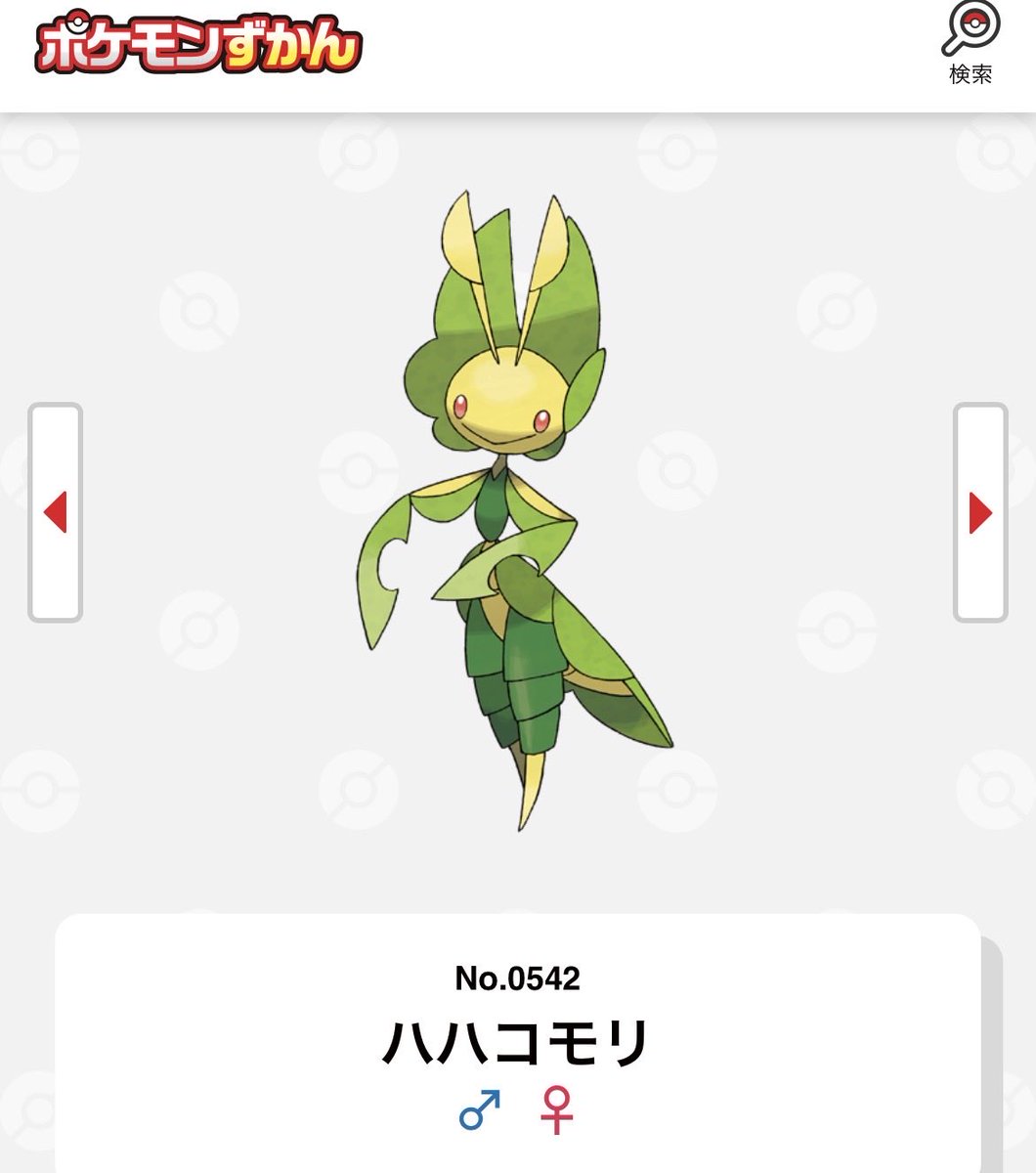 さざなみ tweet media